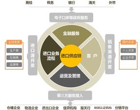 進(jìn)博之光輝耀世界 匯信進(jìn)口供應(yīng)鏈管理系統(tǒng)卓爾不群