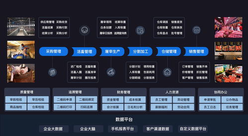 食聯(lián)網(wǎng) 可追溯的食品供應(yīng)鏈運(yùn)營平臺(tái)